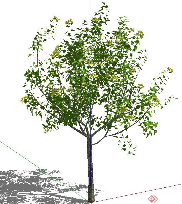 园林景观节点小乔木设计su模型