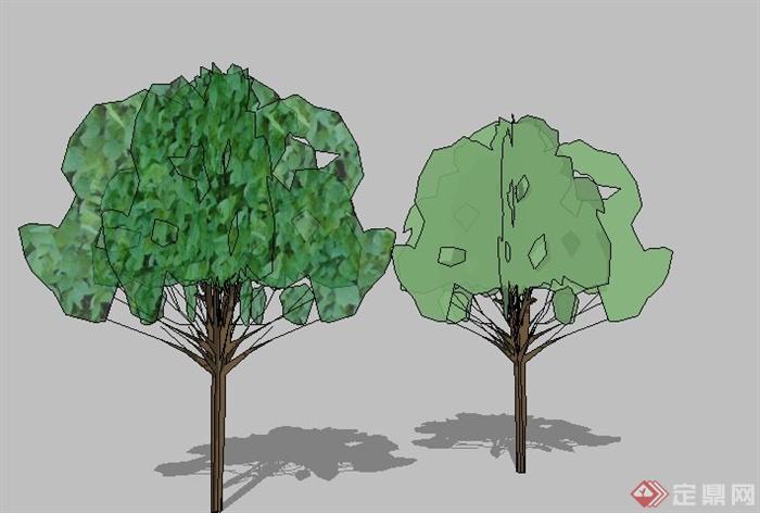 两棵树木植物素材su模型[原创]