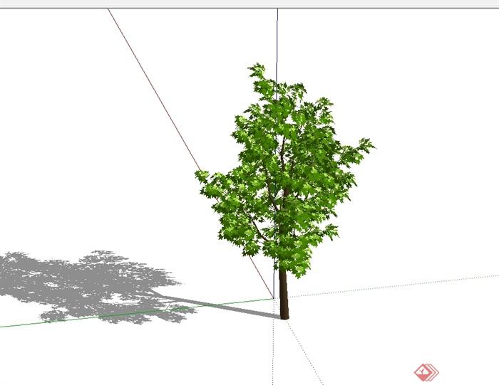 某精细树木植物素材设计su模型[原创]