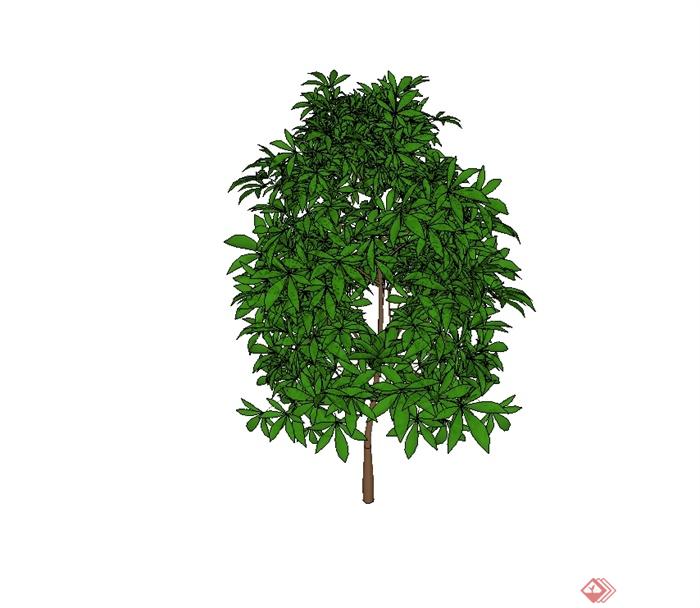 经典树木详细植物素材设计su模型[原创]