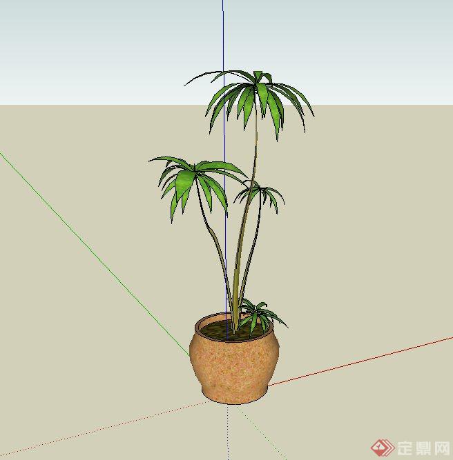 某室内盆栽植物设计SU模型(2)