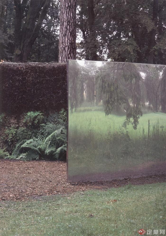 蕨类植物,玻璃钢,草坪