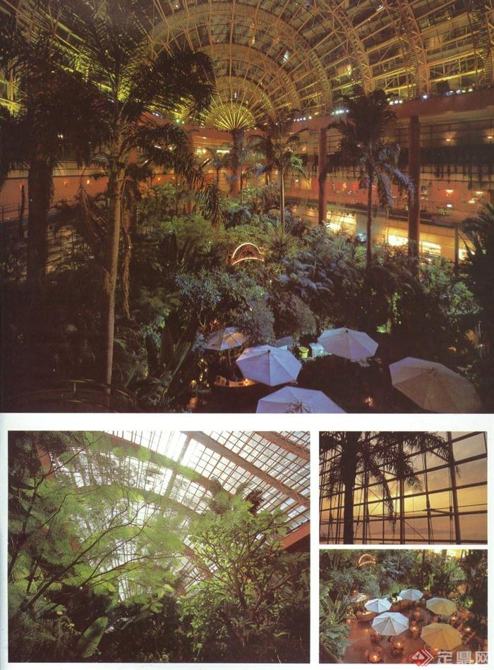 植物大棚,遮阳伞,花园