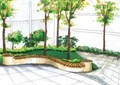 花台坐凳,常绿乔木,地面铺装,草坪