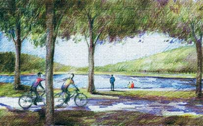 自行车道,河流景观,常绿乔木,滨水景观