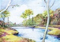 河流景观,园桥,落叶乔木