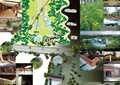 生态公园规划,河流景观,道路,廊架,植被