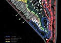 滨水景观规划,分区图