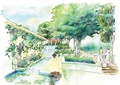 花架,树池,景观水池