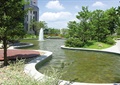涉水池,树池,常绿乔木,喷泉,住宅景观