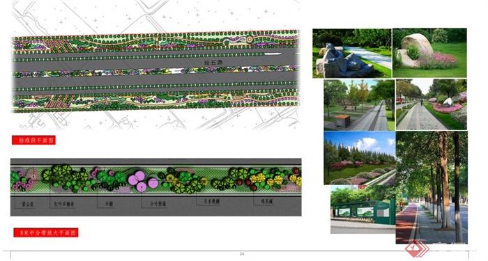 某城市道路景观绿化WORD文档方案(2)