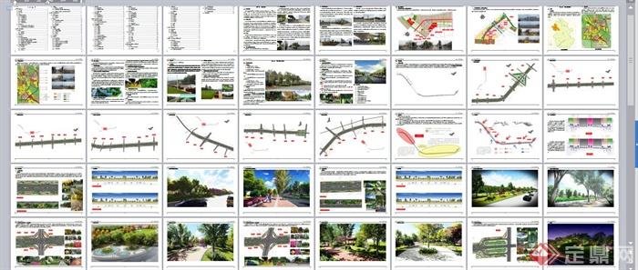 某城市道路景观绿化WORD文档方案(7)