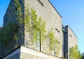 研究院建筑,矮墙,灌木植物,竹林