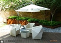 桌椅组合,遮阳伞,种植池,木板铺装