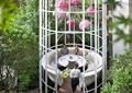 庭院花园,鸟笼,餐桌椅,台阶,吊灯,常绿乔木