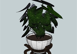 室内装饰盆景植物与花架设计SU(草图大师)模型