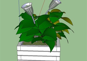 室内装饰花钵与植物设计SU(草图大师)模型