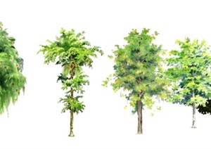 手绘样式多种乔木植物SU(草图大师)模型