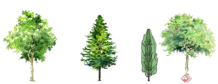手绘样式多种乔木植物su模型(3)