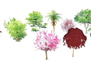 20棵景观植物乔木SU(草图大师)模型