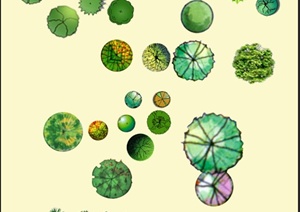 植物平面素材设计PSD 图