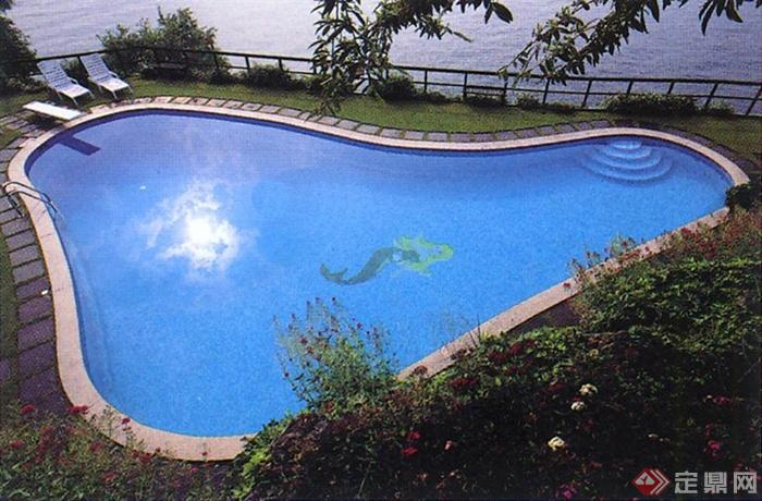 泳池,户外泳池,泳池景观