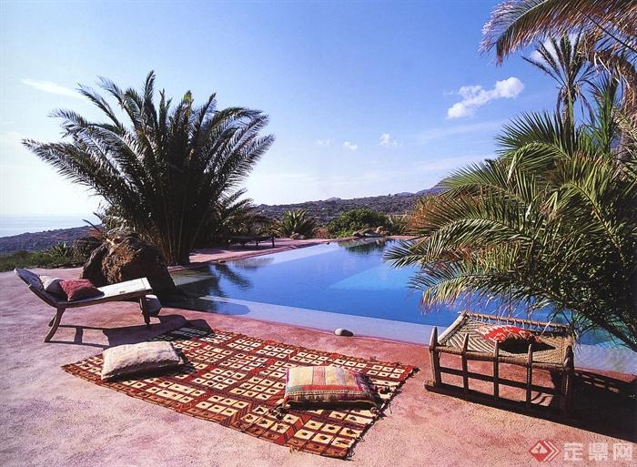地毯,做点,茶几,躺椅,泳池景观棕榈