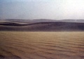 沙漠,沙地