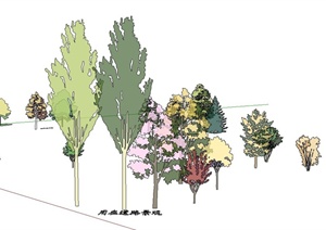 多棵灌木与乔木植物设计SU(草图大师)模型