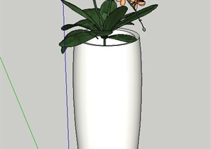 室内花瓶植物设计SU(草图大师)模型