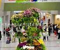 第四届中国兰花大会环境布置设计