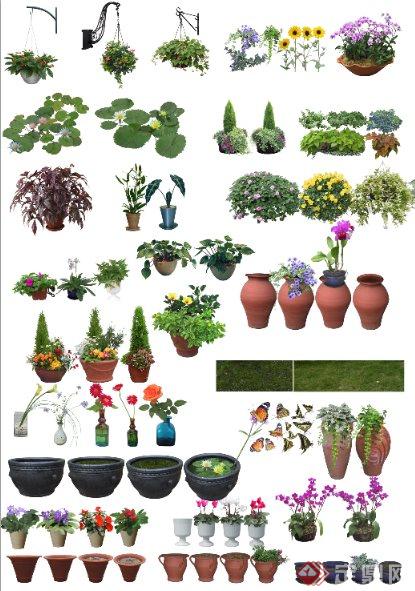 盆栽、花钵、植物素材PSD格式(1)