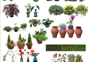 盆栽、花钵、植物素材PSD格式