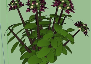 花卉植物设计SU(草图大师)模型