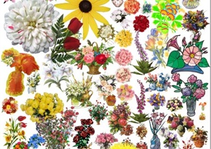 多种花卉植物素材PSD格式