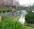 喷泉水池景观他,灌木球,花卉植物,住宅景观