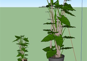 室内两棵盆栽植物设计SU(草图大师)模型