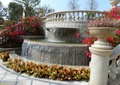 喷泉水池景观,花钵,栏杆,花卉植物
