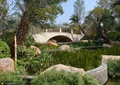水生植物,景石,矮墙,种植池,园桥,水池景观