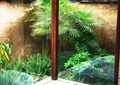 玻璃窗,土砌围墙,蕨类植物,浴缸
