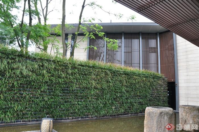 植物墙,水池景观,石水钵,住宅景观