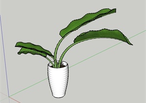 室内盆栽植物设计SU(草图大师)模型
