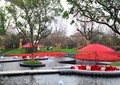 遮阳伞,树池,乔木,喷泉水池