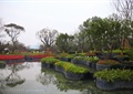 花池,种植池,滨水景观,树池