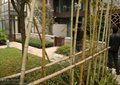 竹林,草坪,矮墙,住宅景观