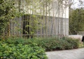 灌木植物,竹林,青砖墙
