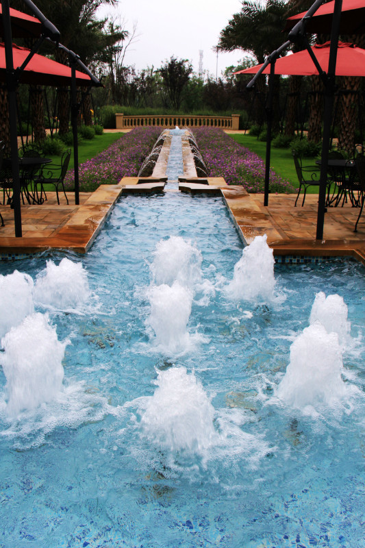 喷泉水池景观,花卉植物,景墙,公园景观