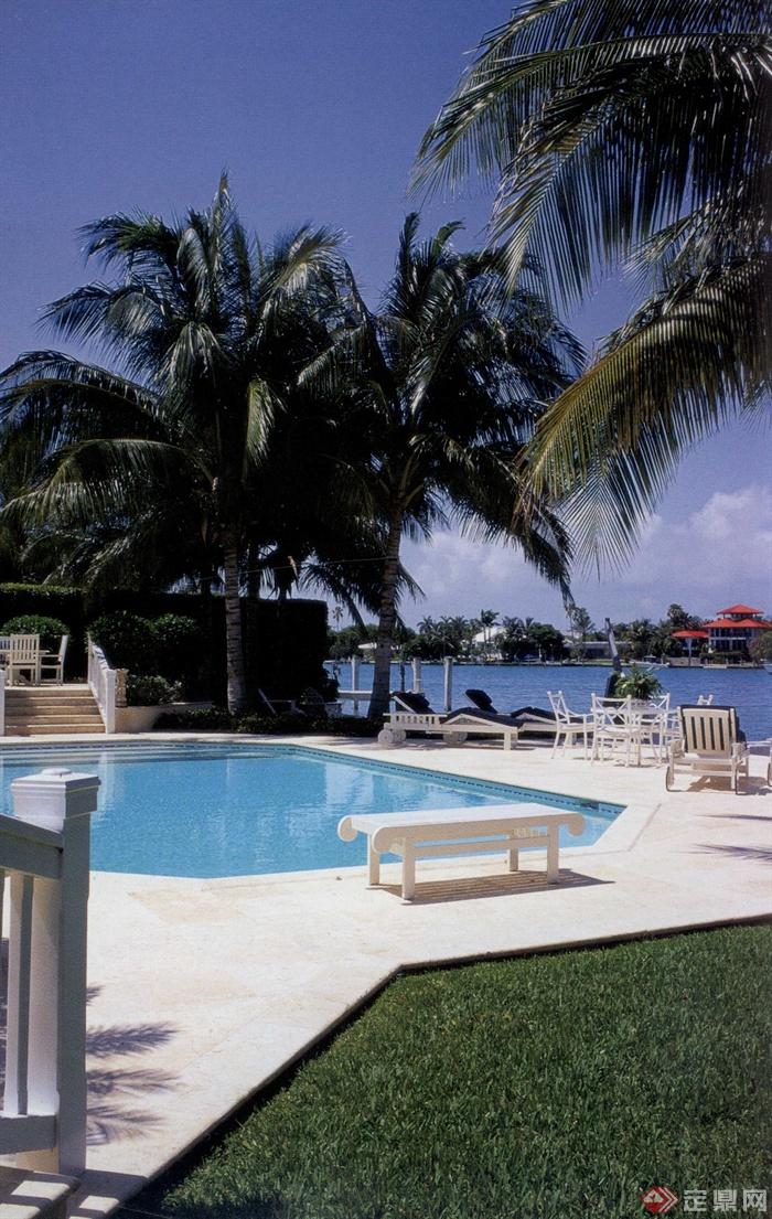 泳池,坐凳,草坪,躺椅,户外泳池棕树,棕榈