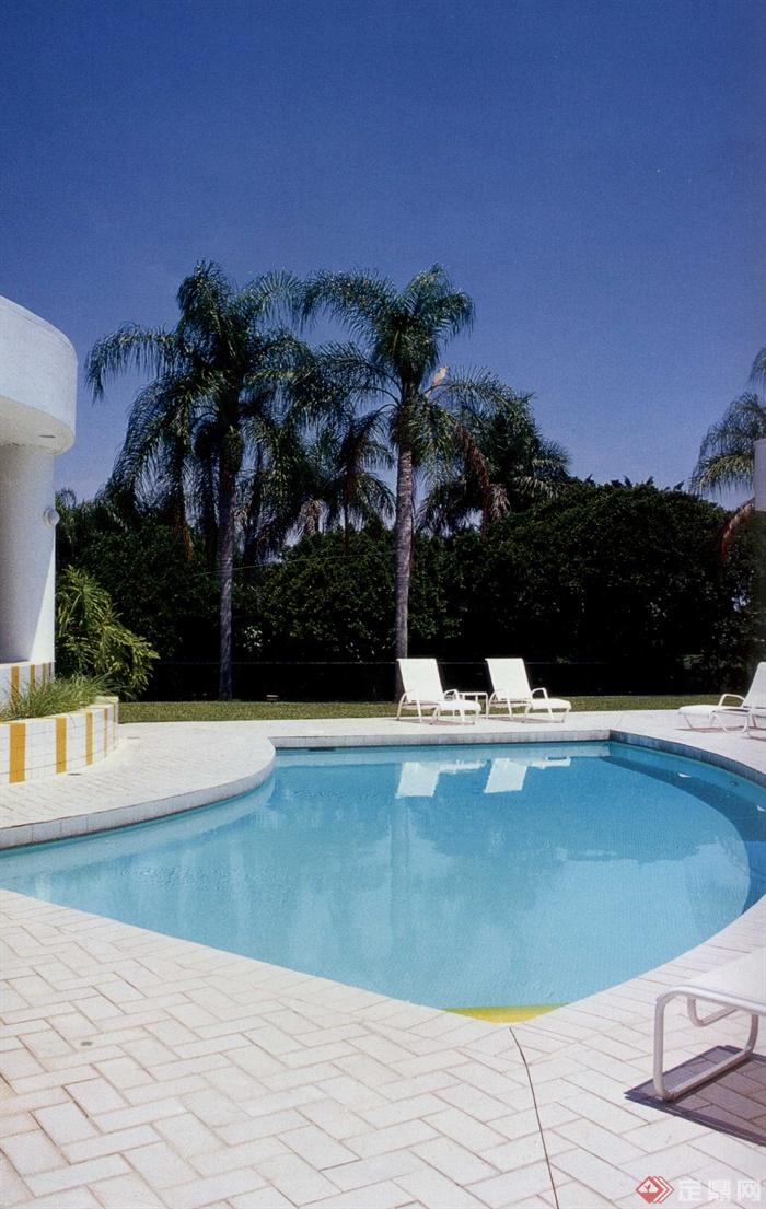 泳池景观,泳池铺装,泳池水景,躺椅,棕榈乔木