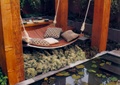 吊床,木廊架,水池景观,水生植物,庭院景观